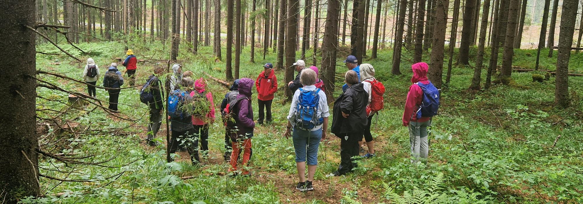 Formiddagstur Øyer - Høgberget