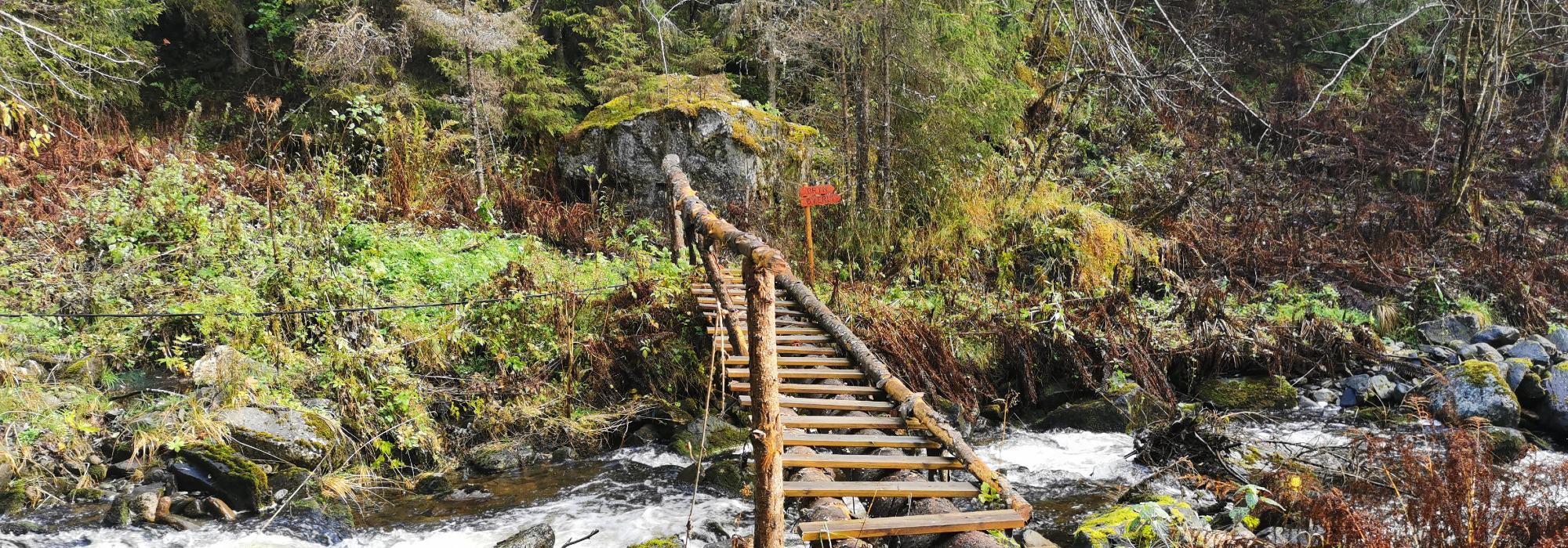 Formiddagstur Øyer - Brynsmorka