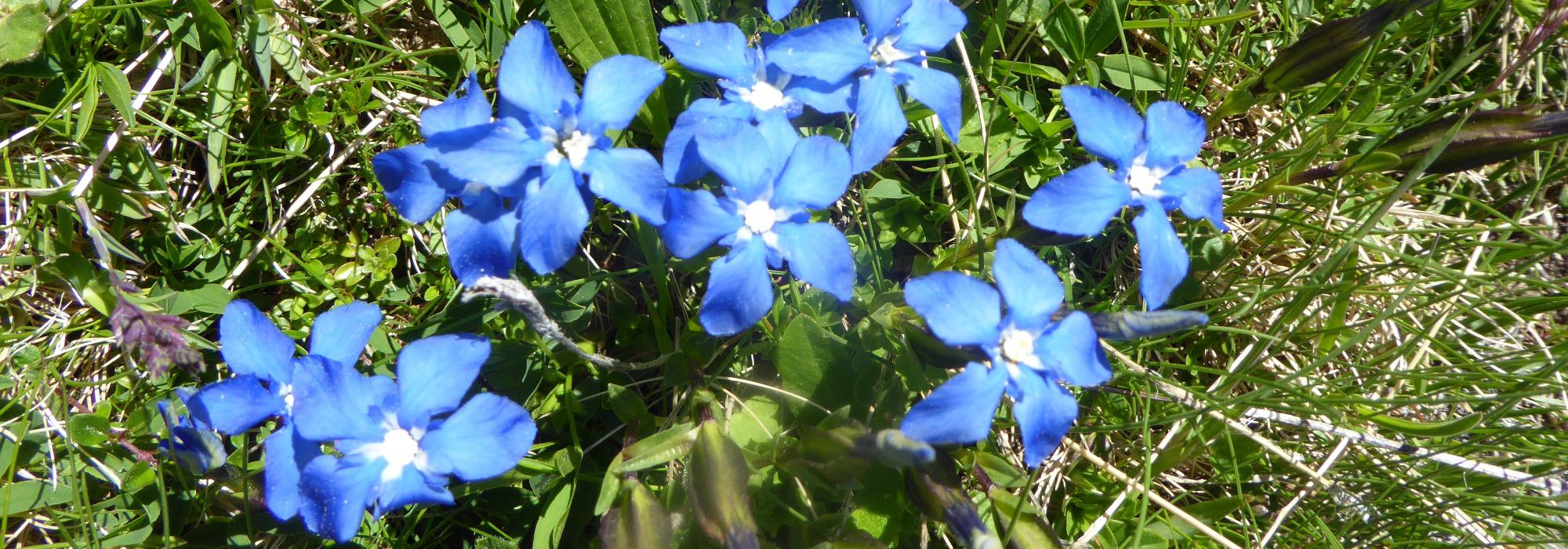 Formiddagstur Øyer - Badedammen i Moksa