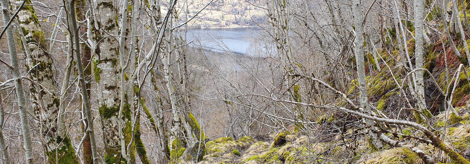 Natur & kultur - den gamle skulevegen frå Mo til Åsane