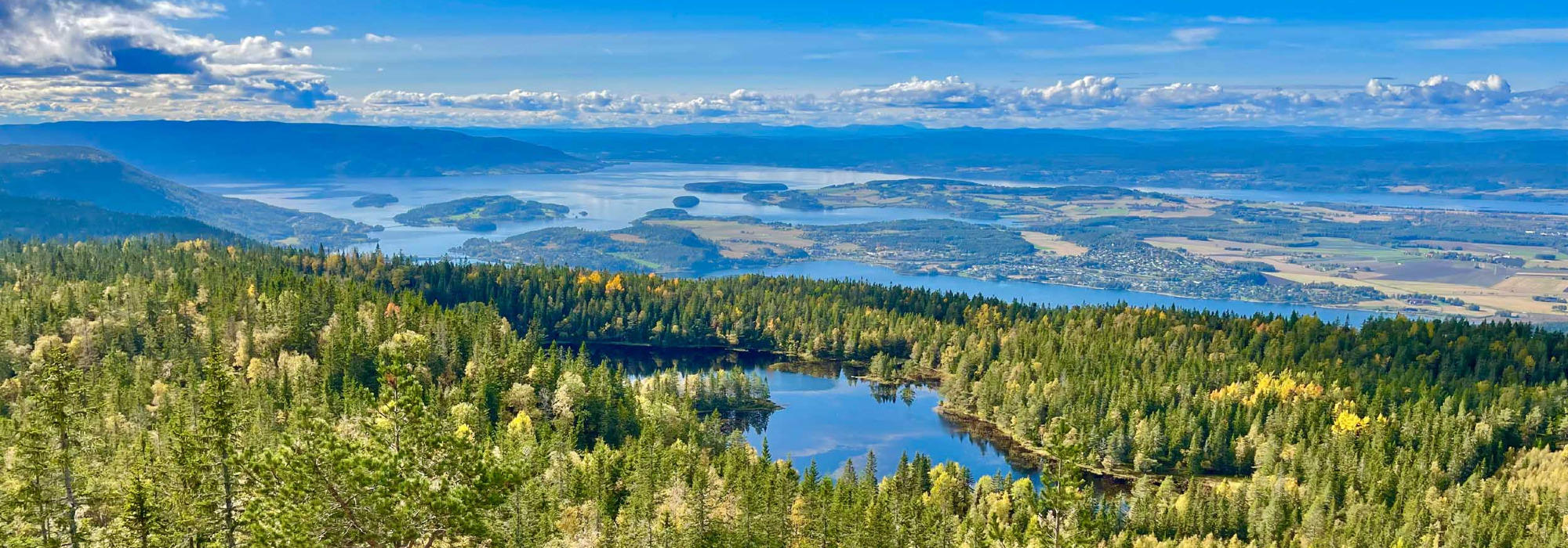 En sommernatt på Krokskogen, alt.3