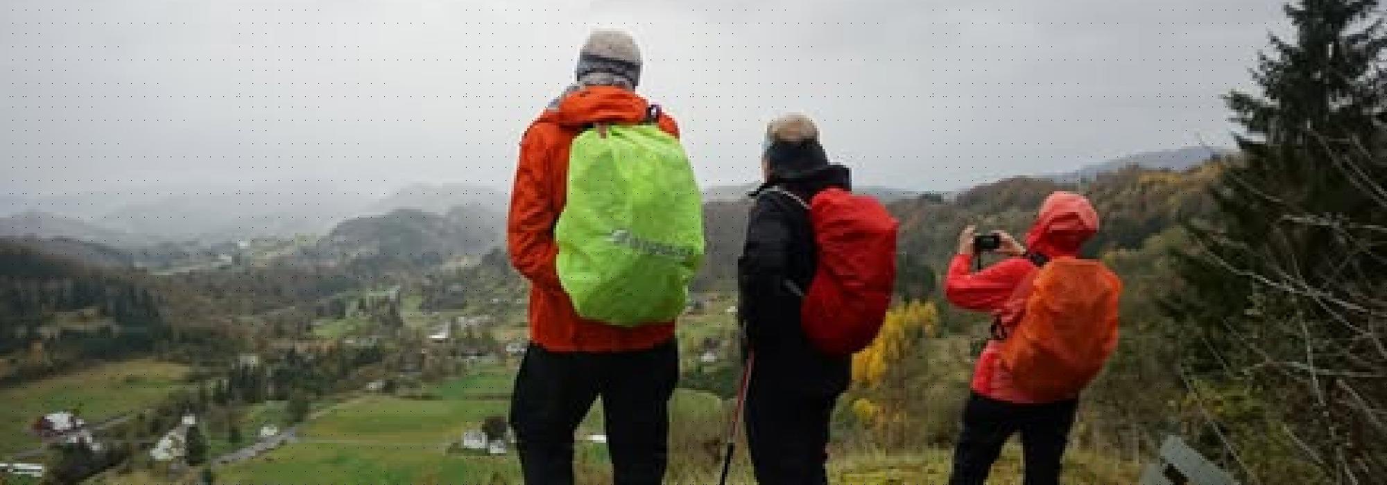 Seniortur  Gjerstad - Hovden - Vatnaleitet - Gjerstad