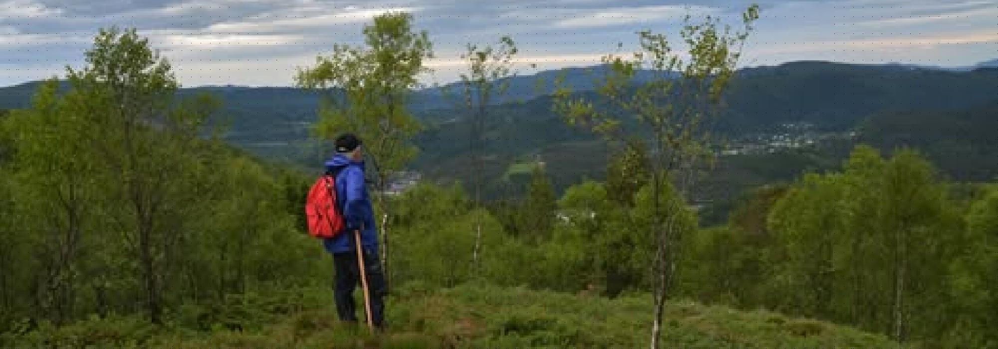 Seniortur til Bjørnfjell