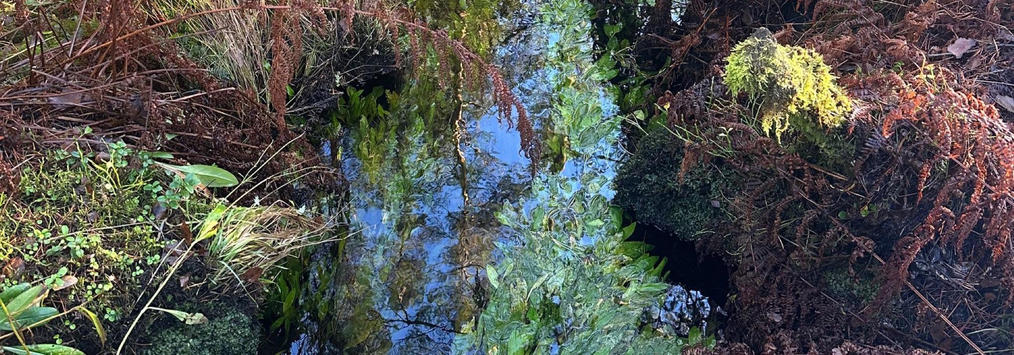 Ravnanger - Haugland med Senior Bergen (Askøy)