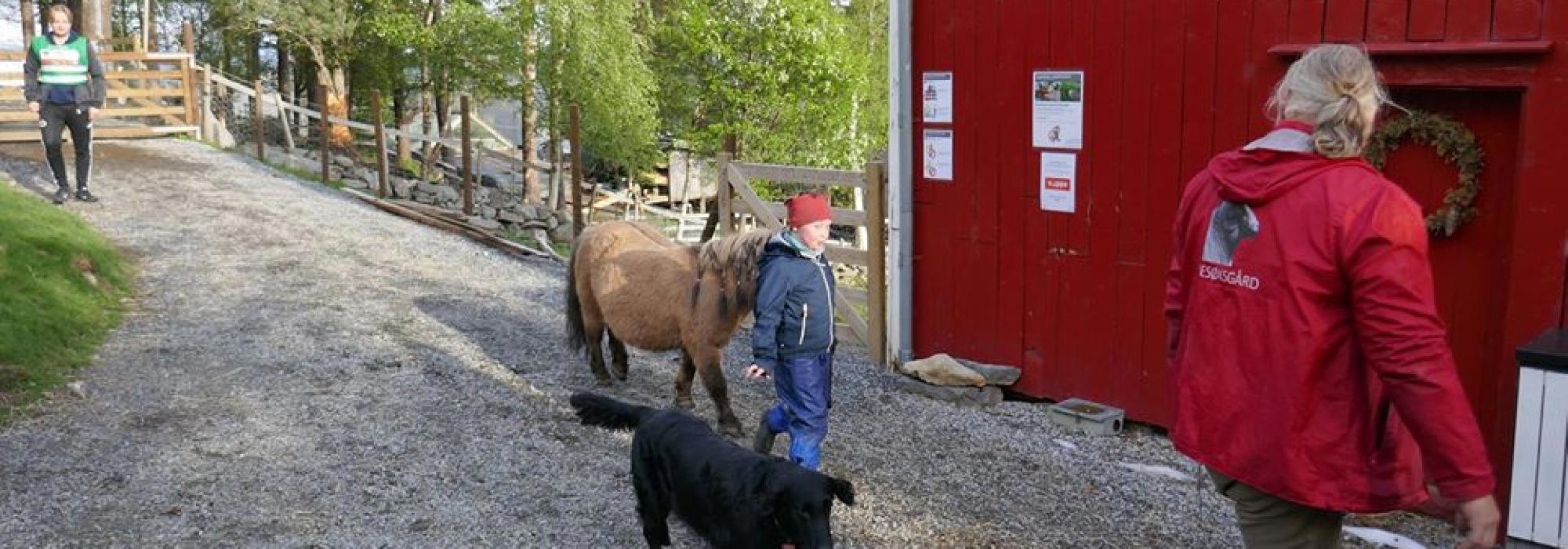 DNT Tilrettelagt på Holmarka Besøksgård