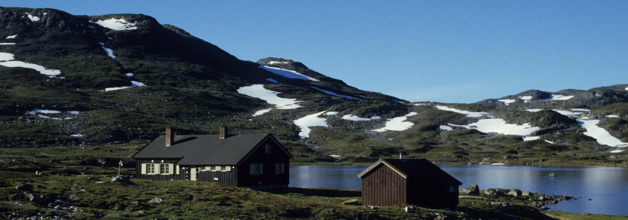 Hardangervidda sør over Sandfloegga, viddas høyest topp