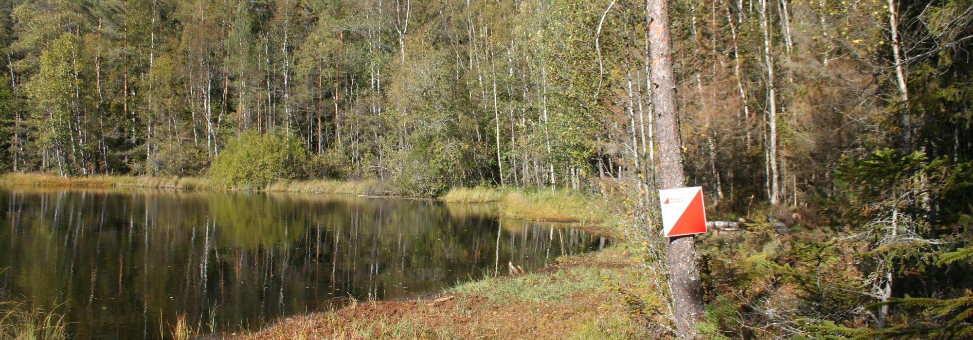 Turorientering på Svartskog langs kulturlandskap