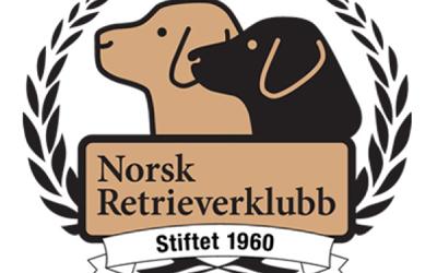 Kynologikurs