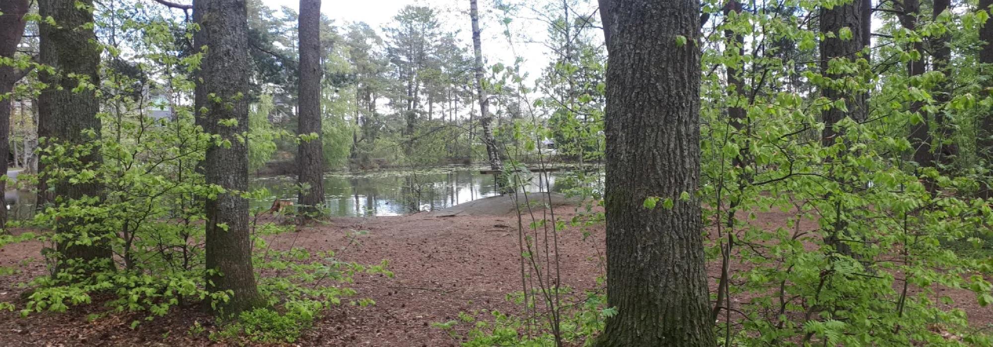 Barnas Turlag inviterer til nærtur på Preståsen