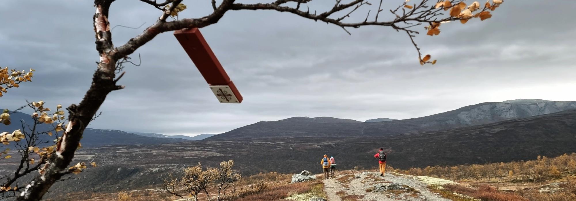 Pilegrimsleden fra Kongsvold til Stamnan ved Berkåk