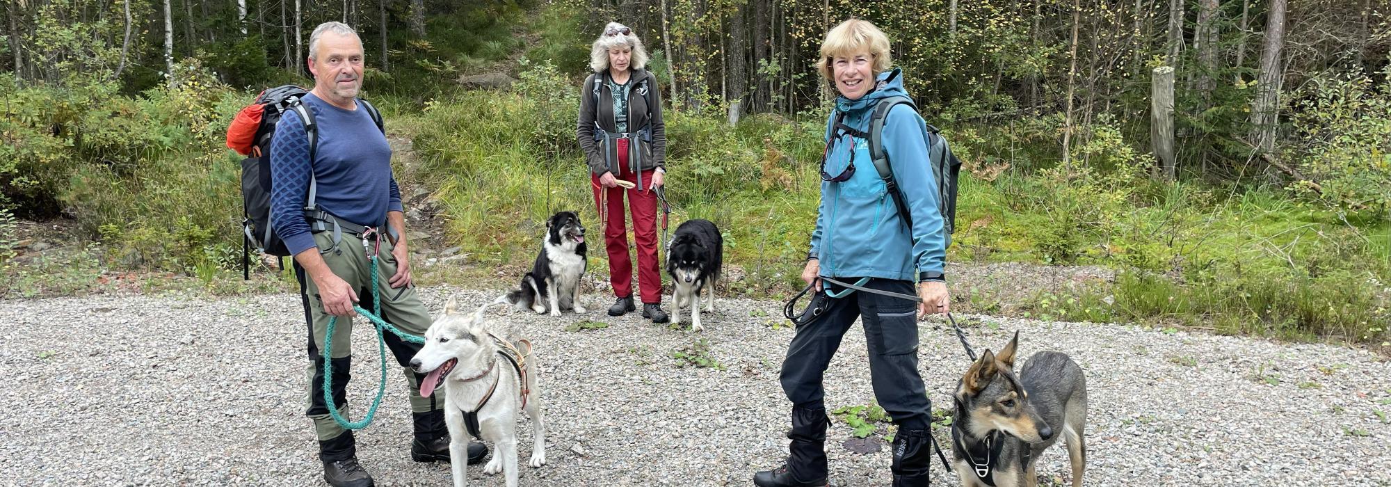 Tur med hund til Øysteinnatten på Lifjell søndag 31. mai.