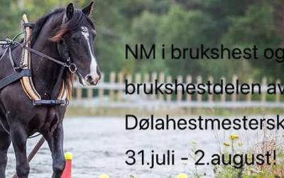 NM Brukshest og skogshest/DHM brukshest 31.07.26-02.08.26