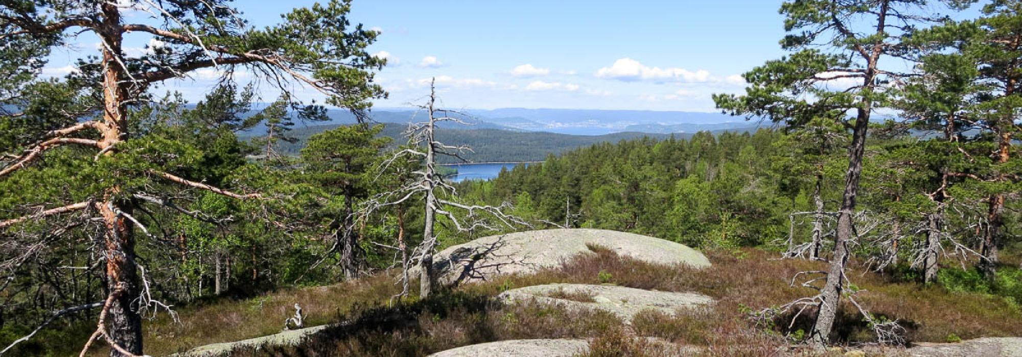 DNT Etter Jobb Engersand - Himmelvann