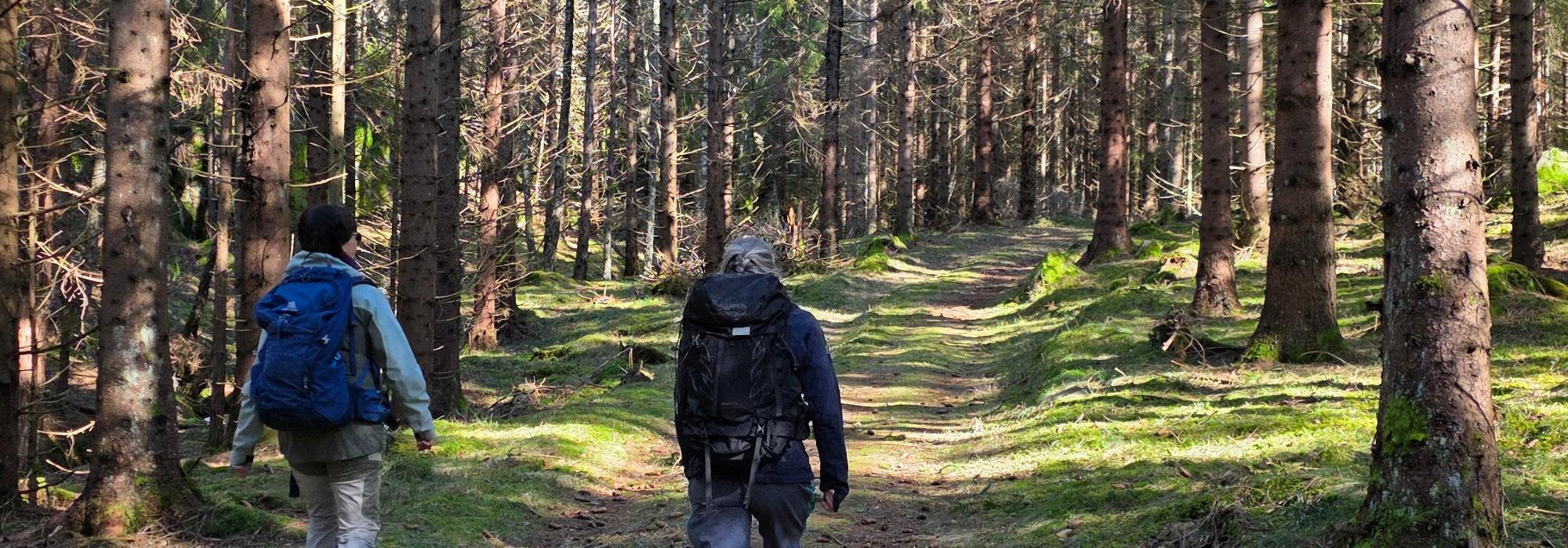 Torsnes - rundtur på Torsølandet fra Langvik