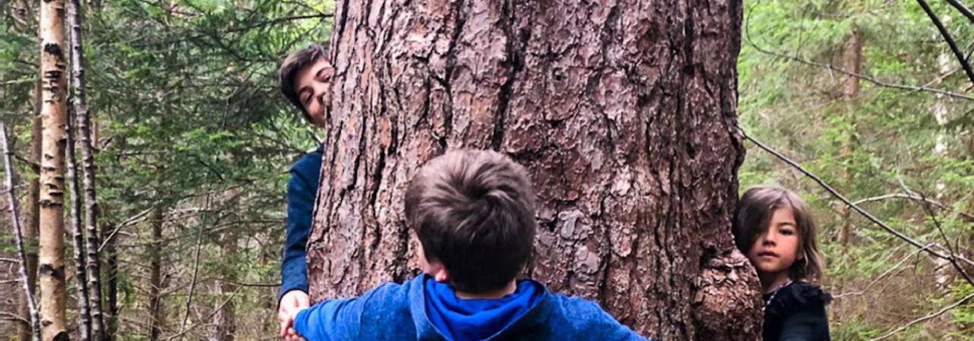 Barnas Turlag - Vårtur langs Gamle Kongensvei fra Nord Tinnes gård