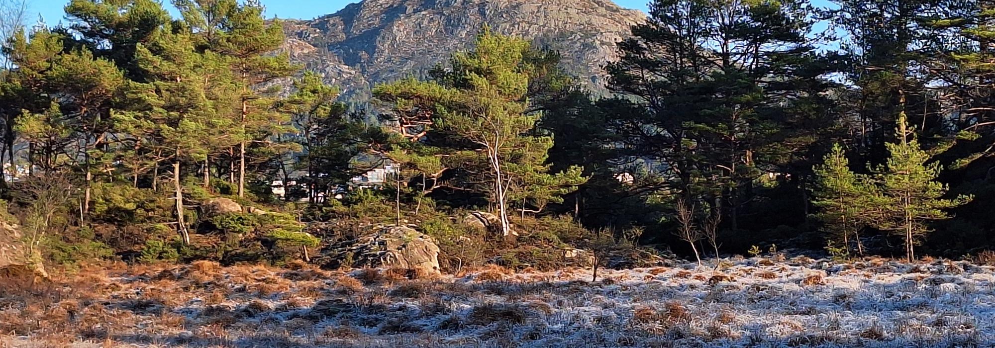 Onsdagstur til Lyderhorn