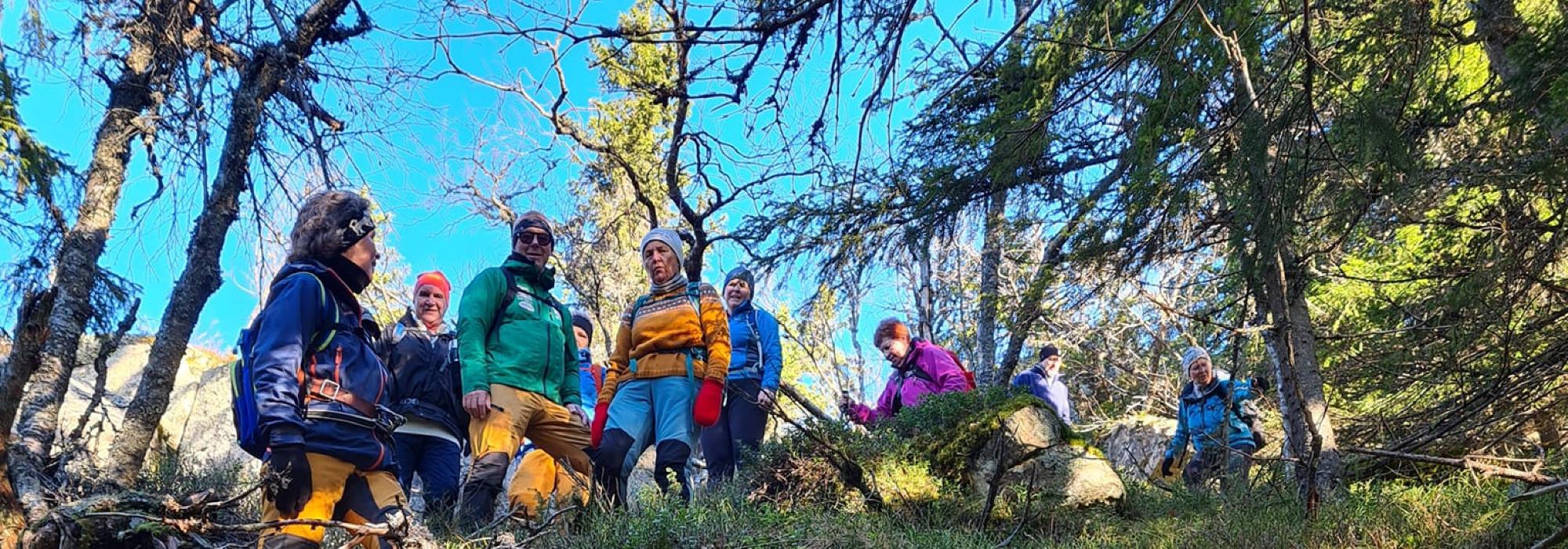 ÅSGRUPPE - MANDAGSTURER PÅ ØSTRE TOTEN: FURUHØGDA - FJØRKENSTADSÆTRA