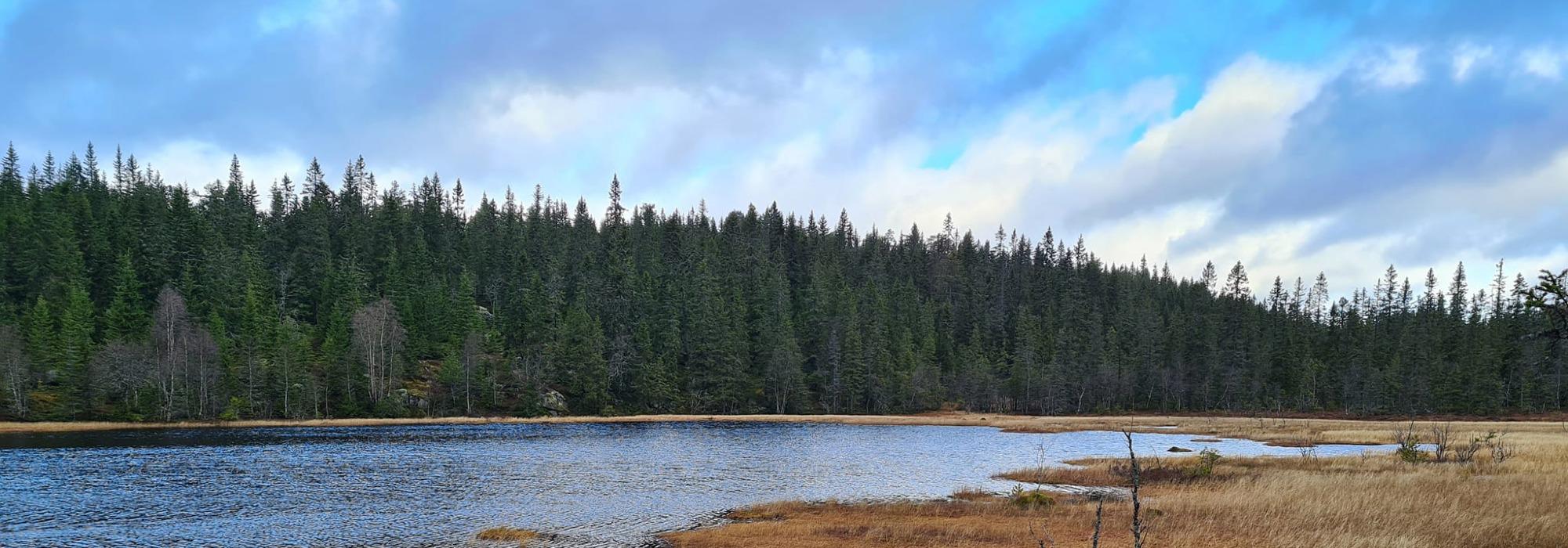 ÅSGRUPPE - MANDAGSTURER PÅ ØSTRE TOTEN: BJØRKEBAKKEN - HELLEBEKKEN - ARVESÆTRA