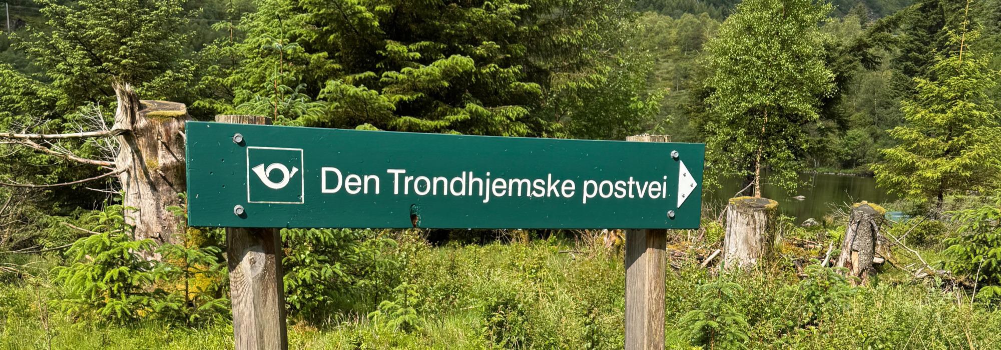 Turdag ved Søre Nordgulsvatnet