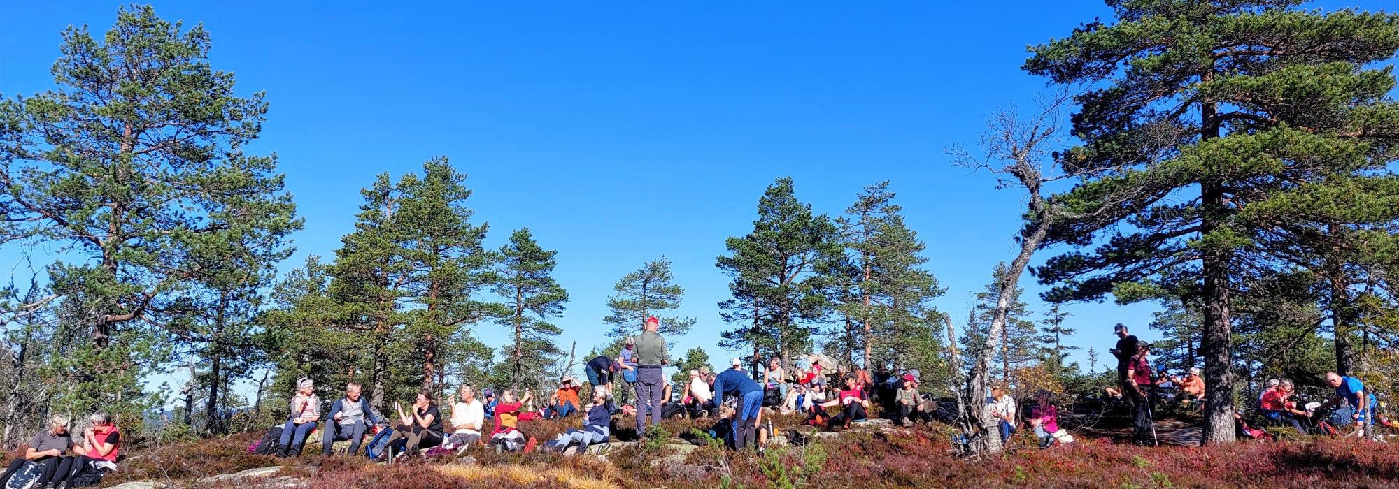 Ut på tur Lier: Røysjø rundt