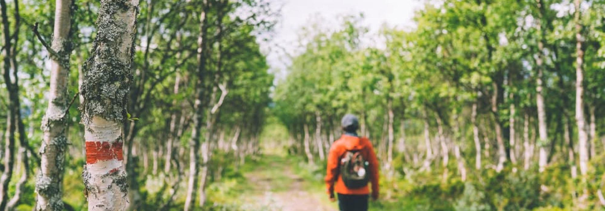 Tur på den planlagte Dammyrveien - som det ikke ble noe av