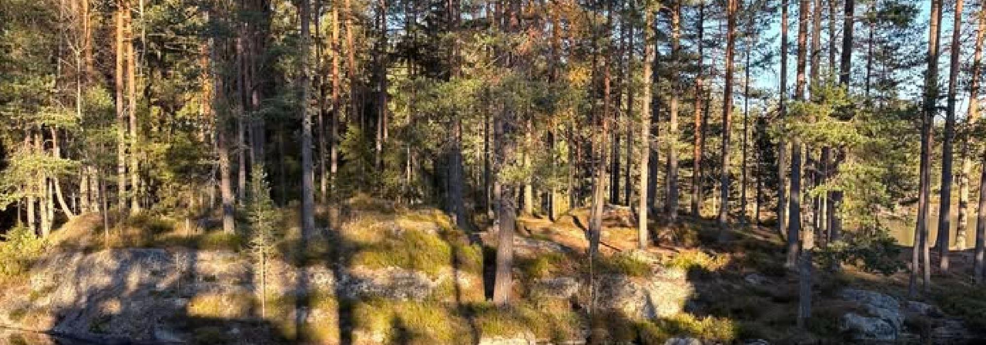 Tur til Hektnerhaugåsen, Ramstadsjøen og Huldreheim