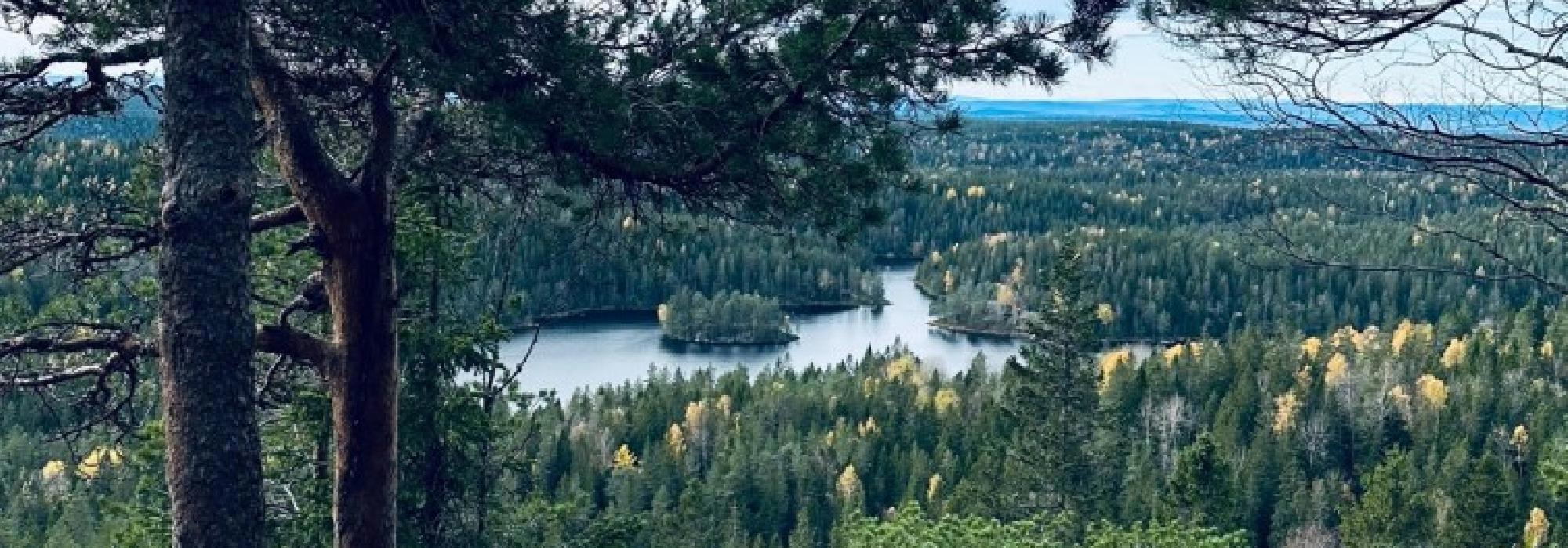 Tur til Tonekollen i Østmarka inkludert yogaøvelser