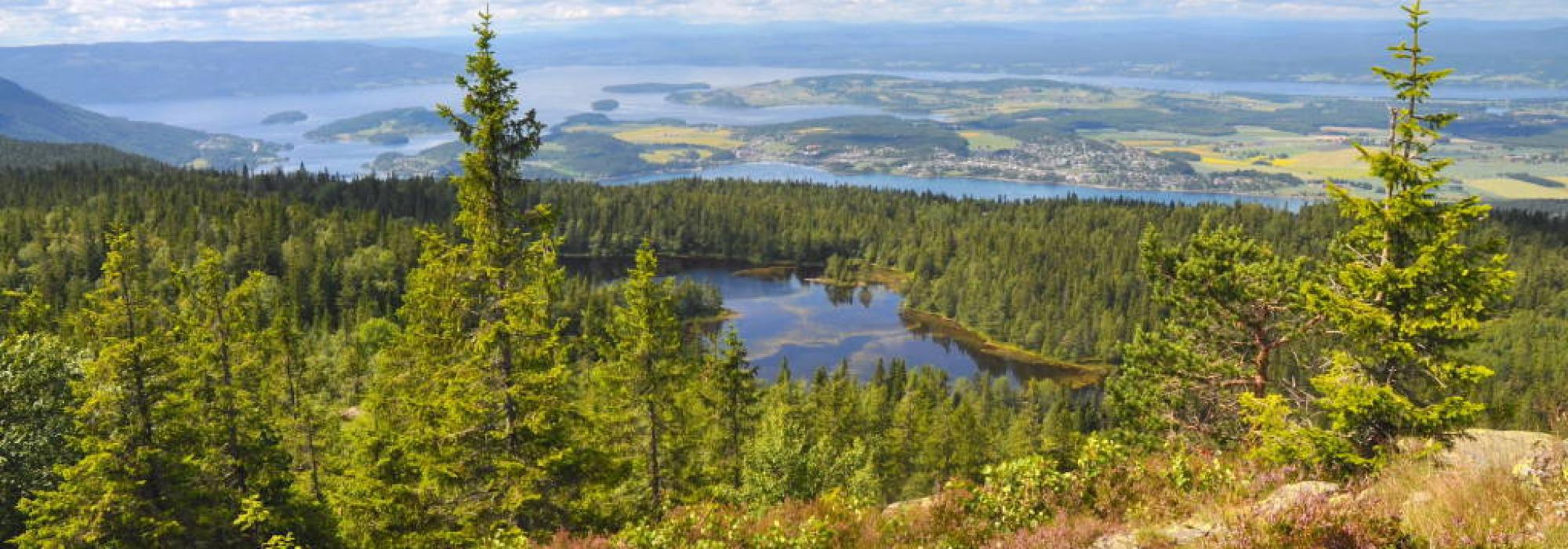 Kulturvandring over Krokskogen