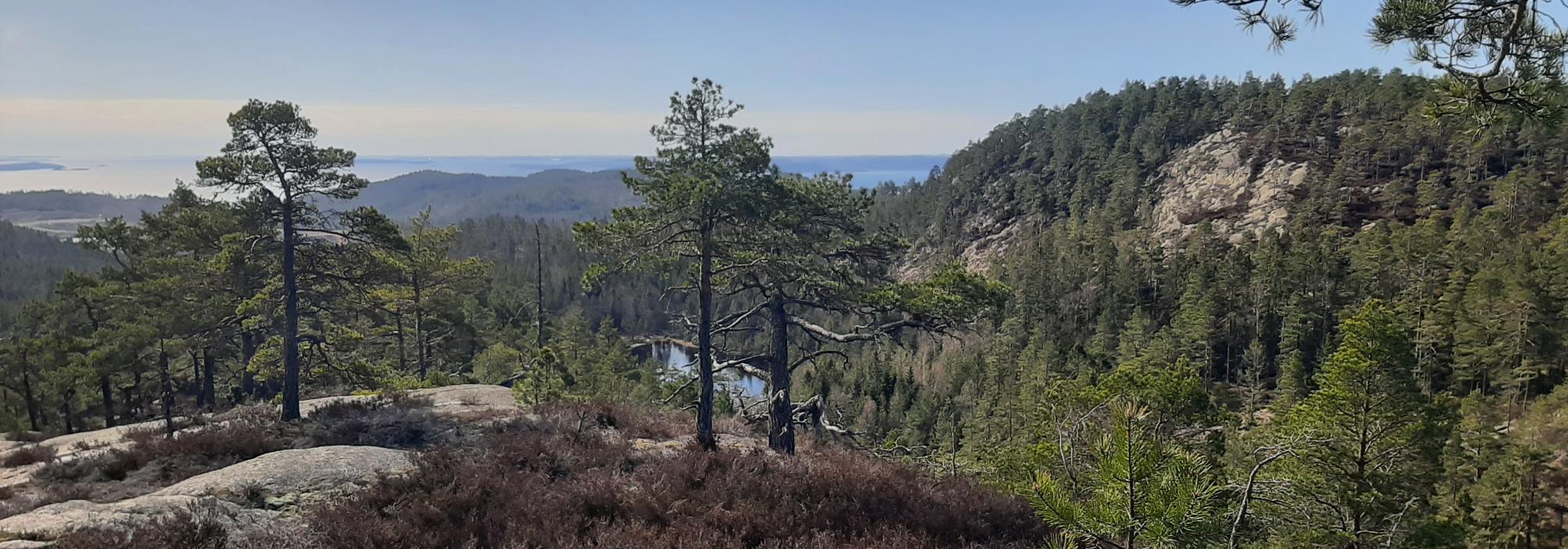 Rødbysetra-Kremmeråsen-Rødbykollen