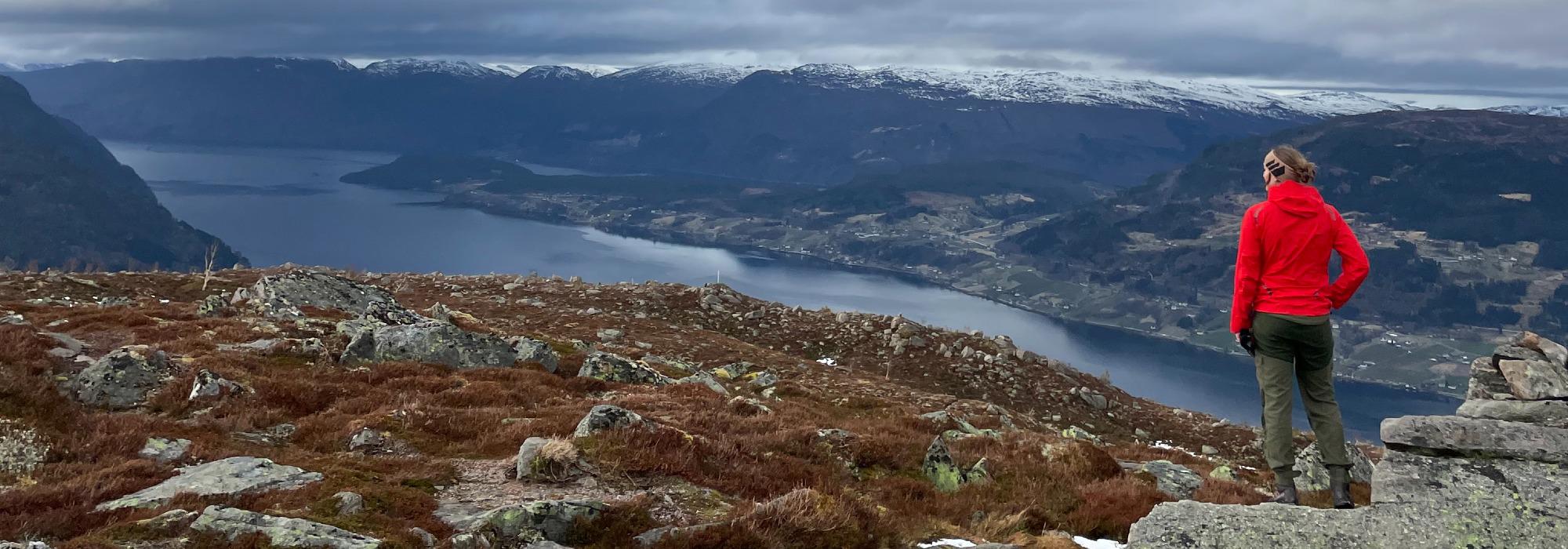 Arnestadfjellet - tysdagstur i Gloppen