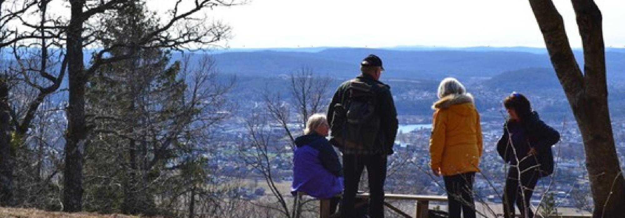 Natur og matkultur - Rustankollen