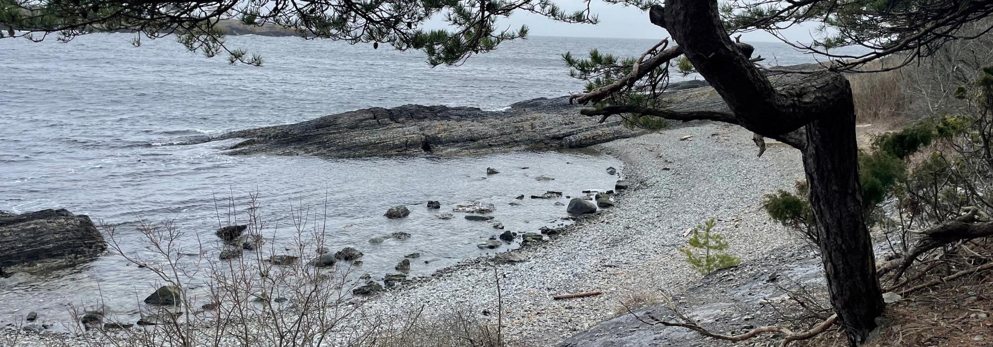 Natur og matkultur - Tangen fort