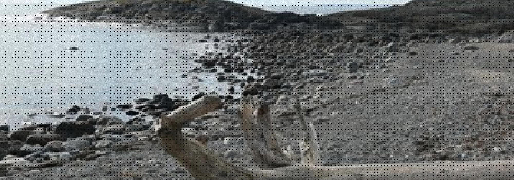 Natur og matkultur - Mølen