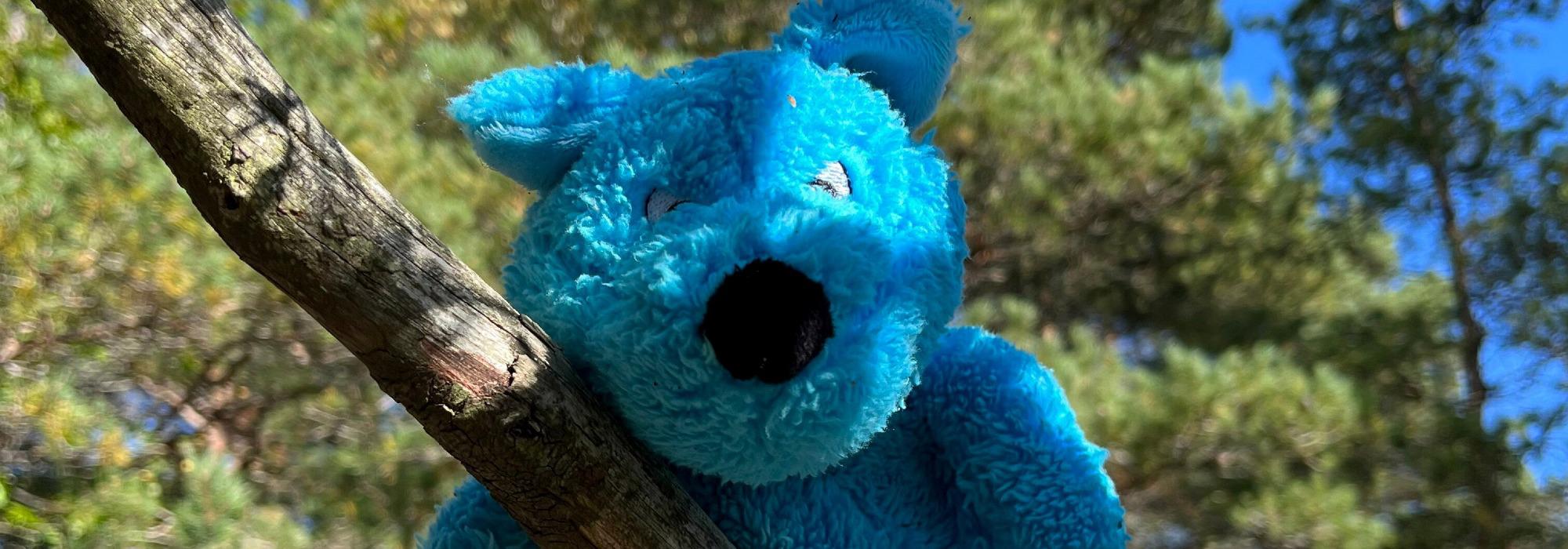 Barnas Turlag Porsgrunn - Vårtegntur