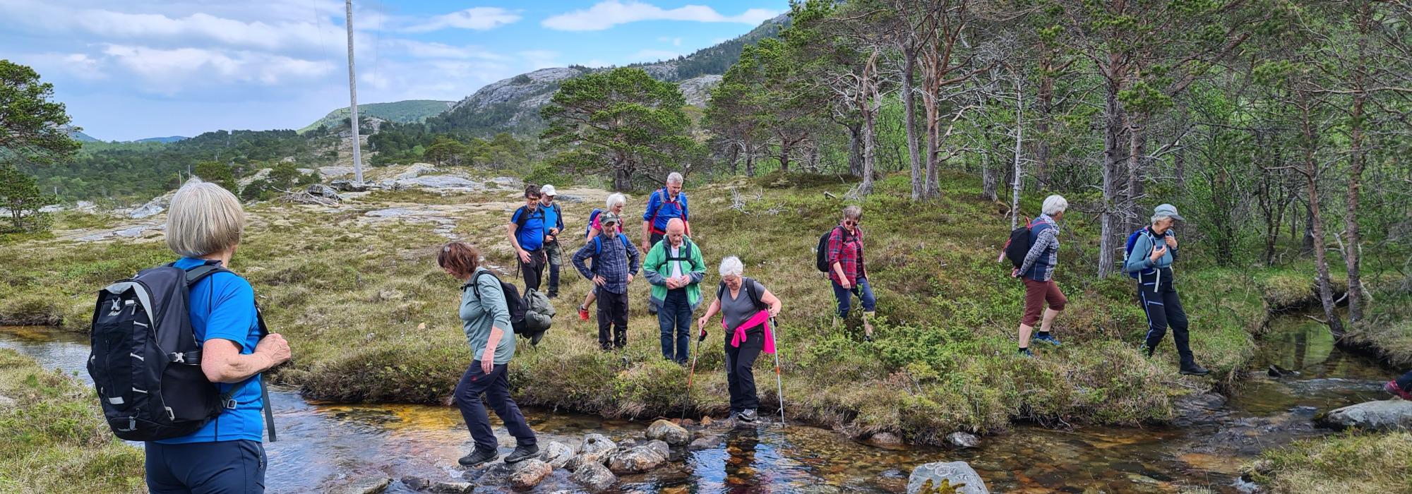 Seniortur: Sandvika i Valnesvatnet – Skånlandsfjellet T/R