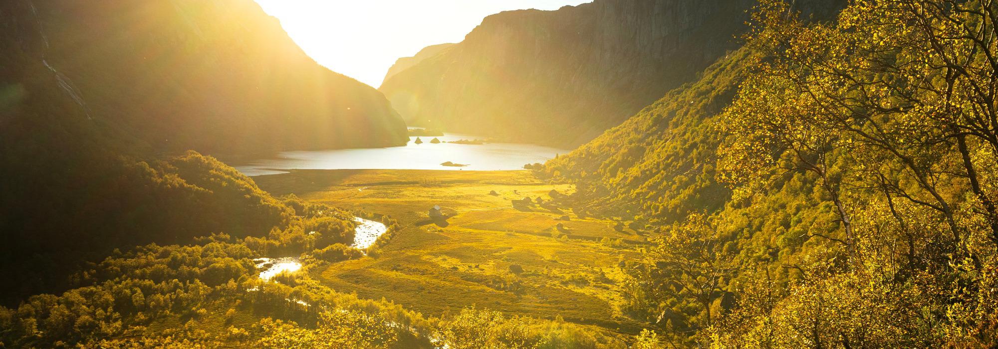 Turledersamling for 60+ i Viglesdalen