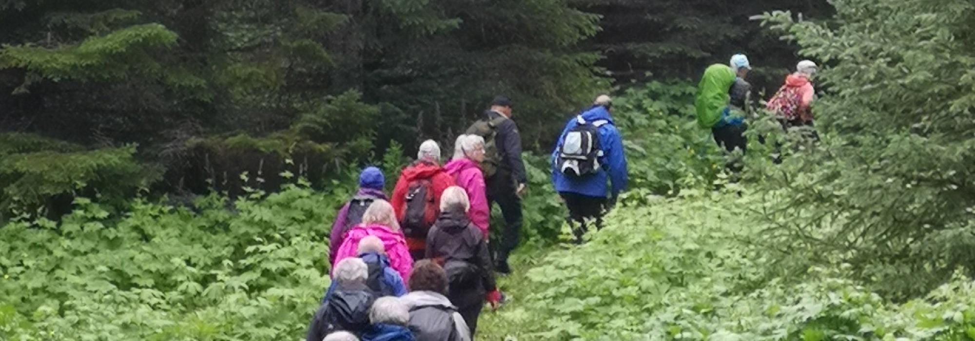 Seniortur: Ertenvågdalen – Sørvika – Frostmoen – Nordvika