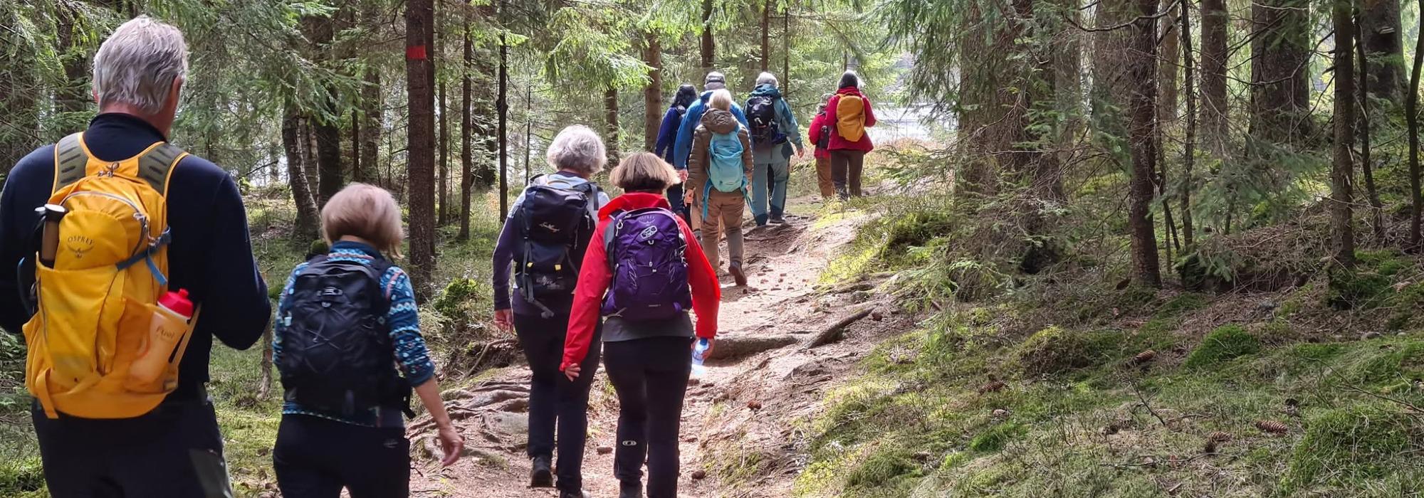 Nærtur til Gjelleråsmarka