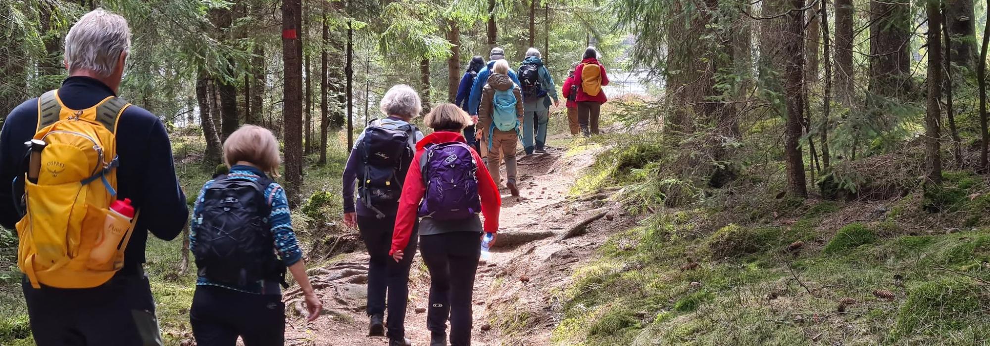 Nærtur i Gjelleråsmarka