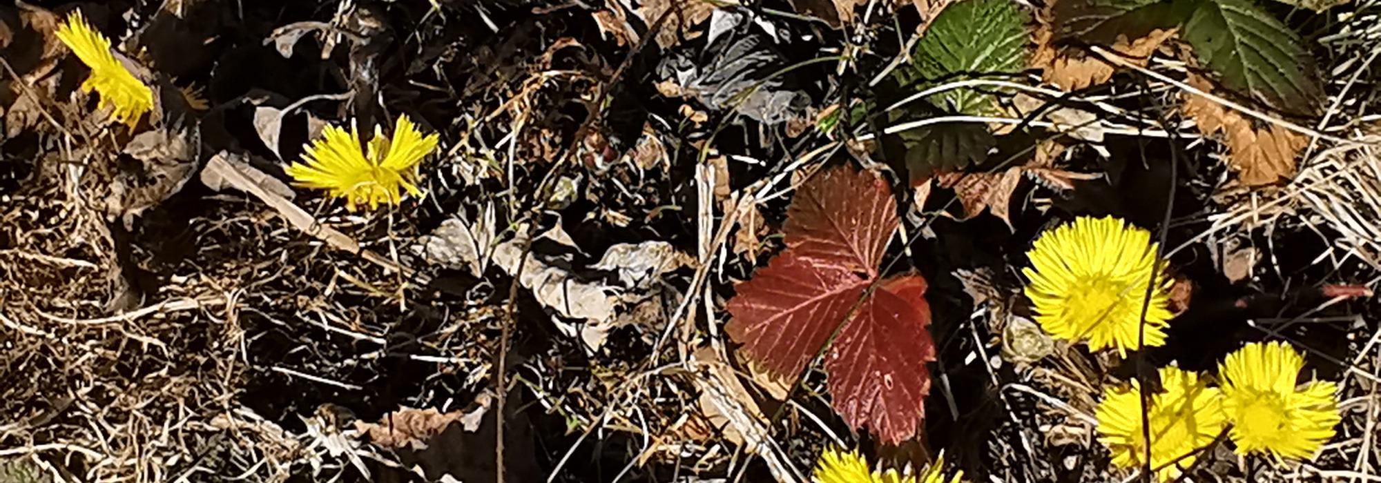 DNT Etter Jobb Engersand - Rundtur fra Hyggen