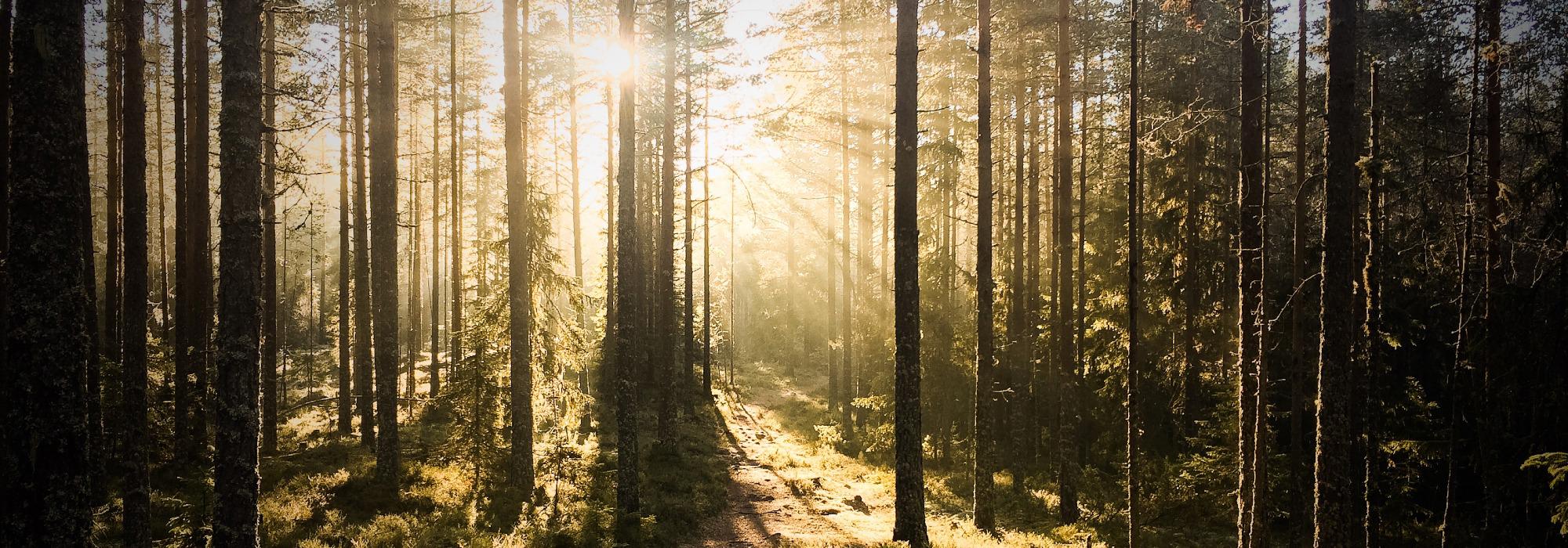 DNT Etter Jobb Engersand: Hyggen – Runde til Herstadhei