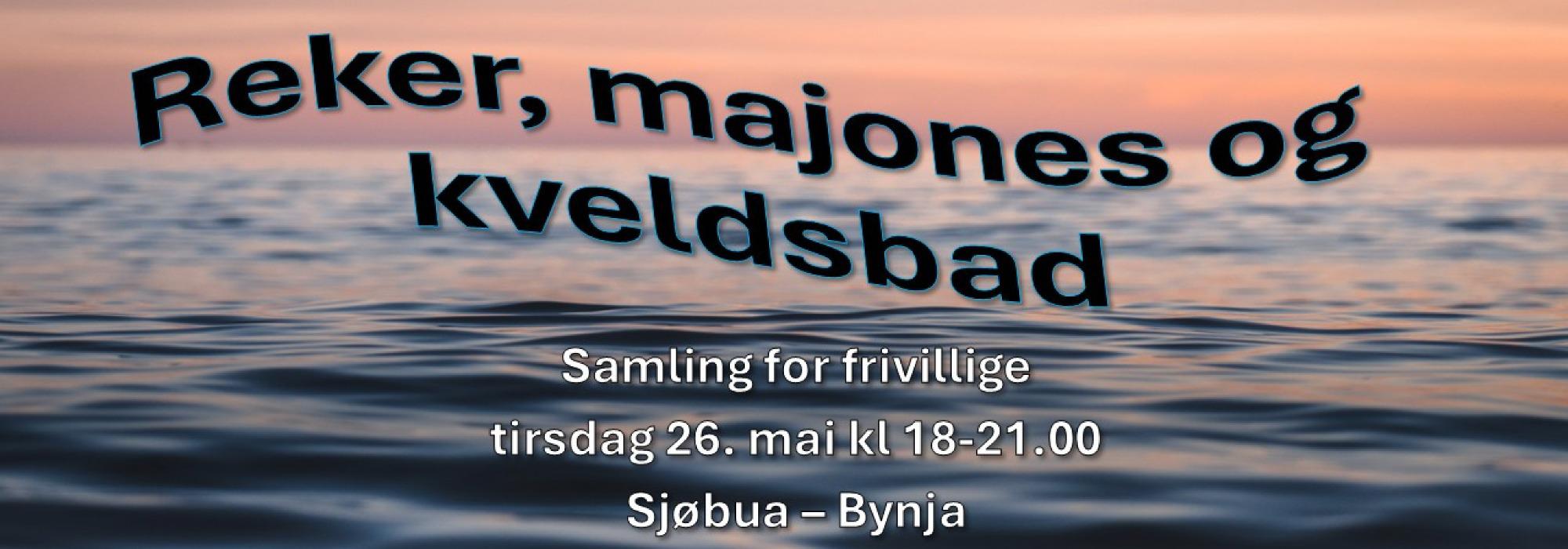Frivilligsamling: Reker, majones og kveldsbad i solnedgang