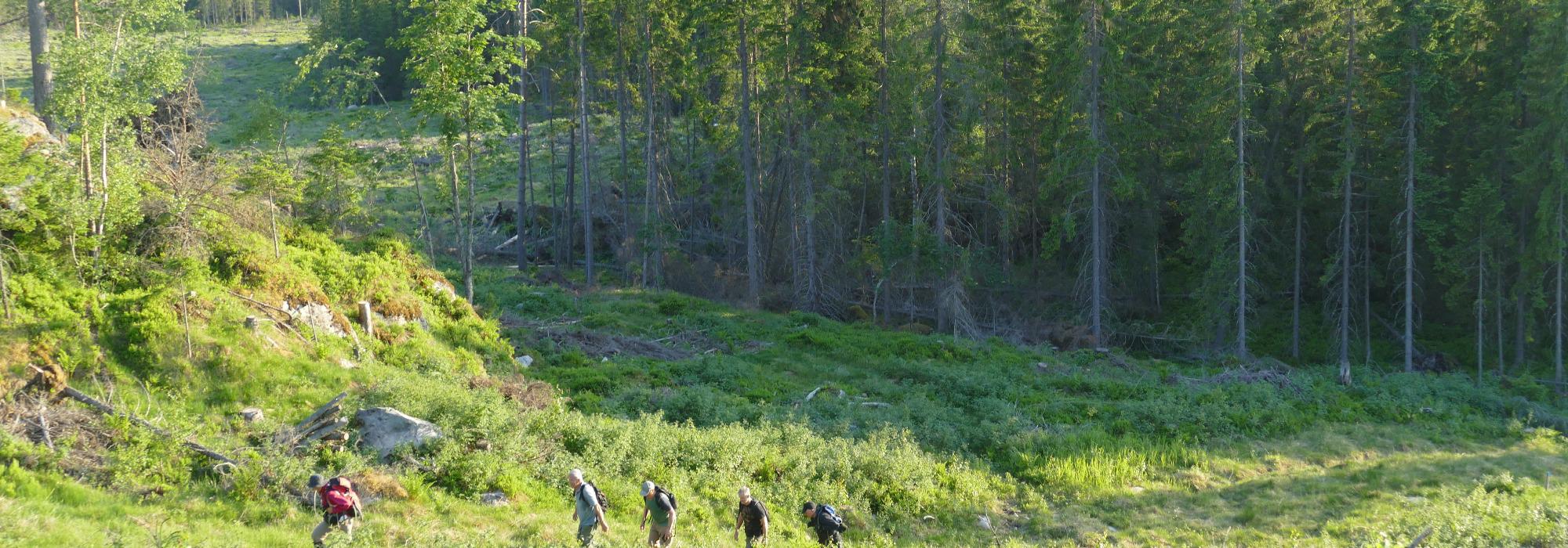 HHT Onsdagsgruppa: Tur fra Sigfridstad - Bygdeberget rundt i Åsbygda