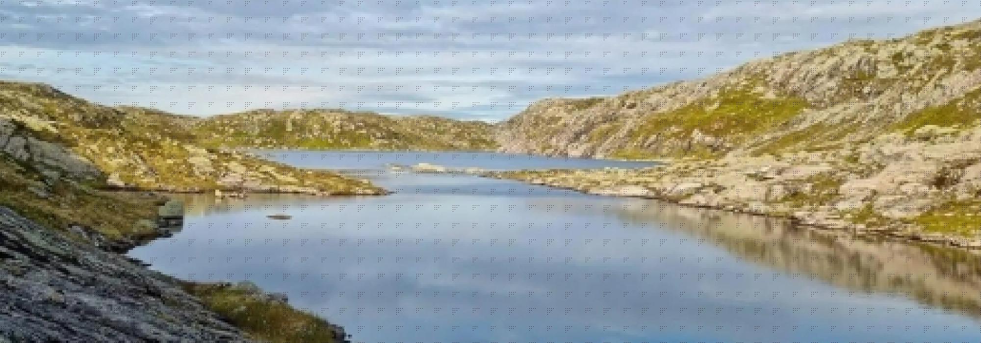 Trollebotnsheia rundt
