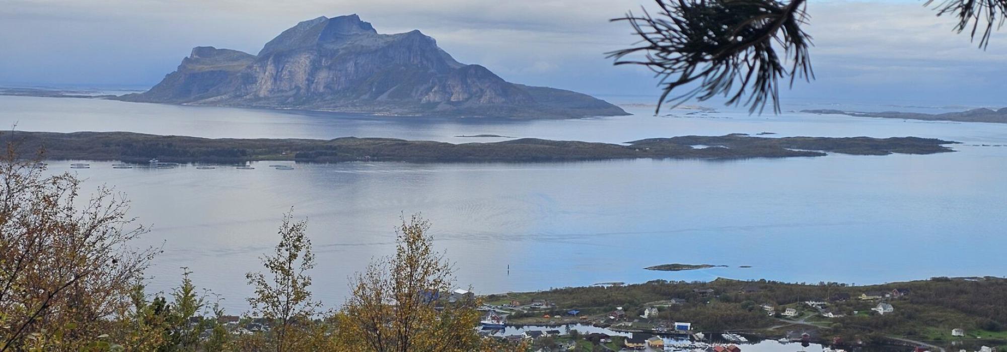 Seniortur: Inndyrsfjellet via Blårusstuva