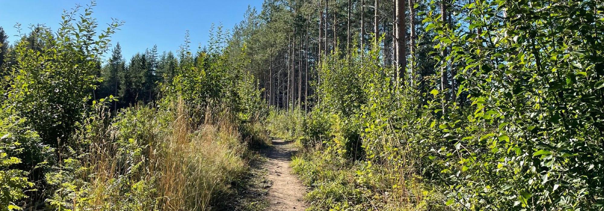 HHT Onsdagsgruppa: Tur i Klukhagan og Frøbergsberget