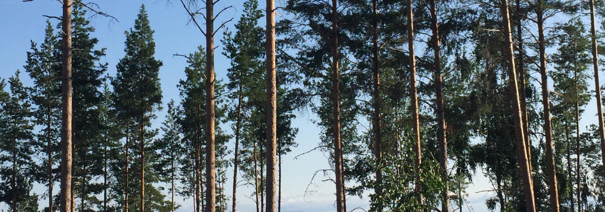 HHT Onsdagsgruppa: Tur i Furuberget