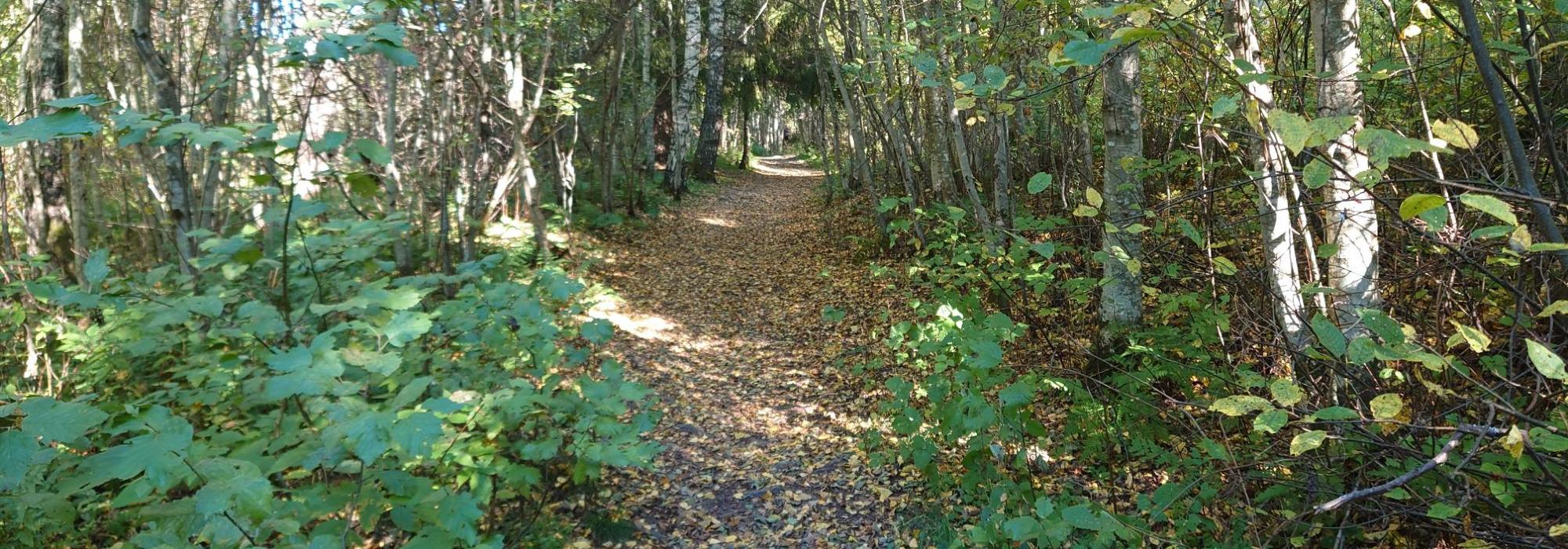 DNT Odal æftastur til Romerike landskapsvernområde