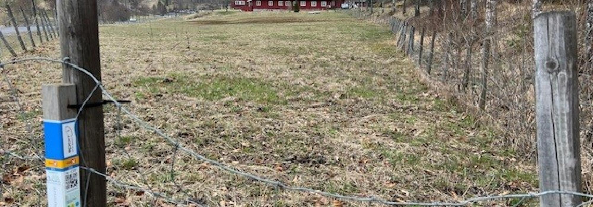 Onsdagstur-Stolpejakt