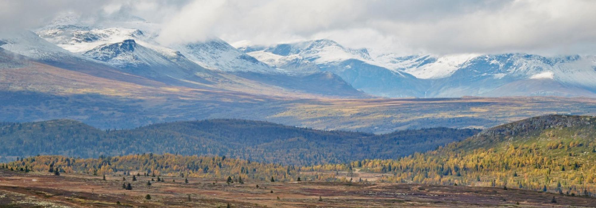 Fjelltur til Storefjell og Gol